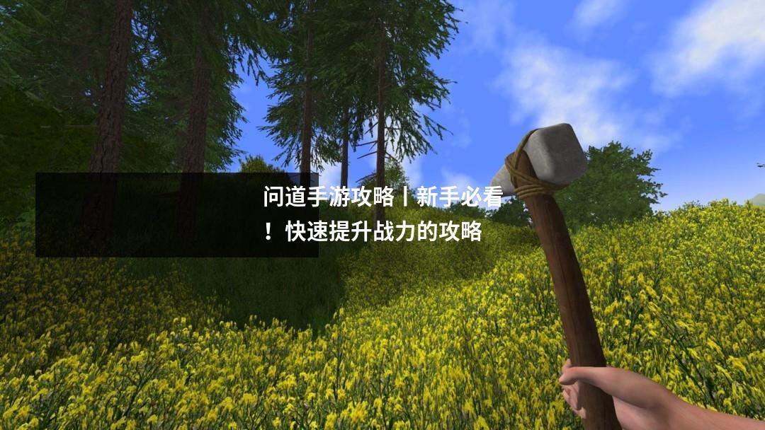问道手游攻略丨新手必看！快速提升战力的攻略