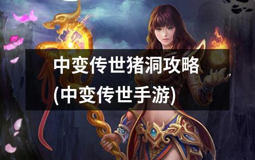 中变传世猪洞攻略 (中变传世手游)