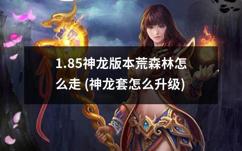 1.85神龙版本荒森林怎么走 (神龙套怎么升级)