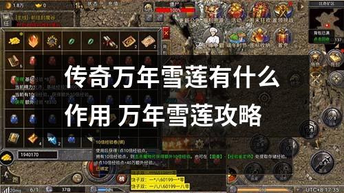 传奇万年雪莲有什么作用 万年雪莲攻略